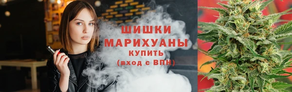 стаф Россошь