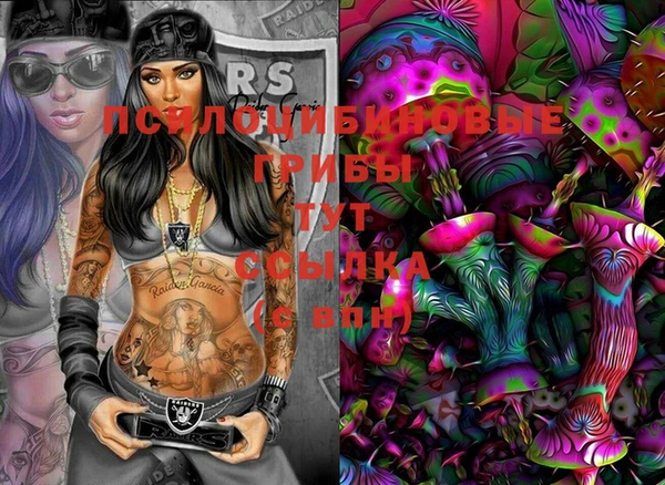 mdpv Рославль