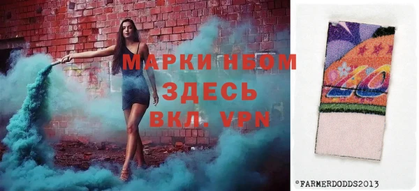 стаф Россошь